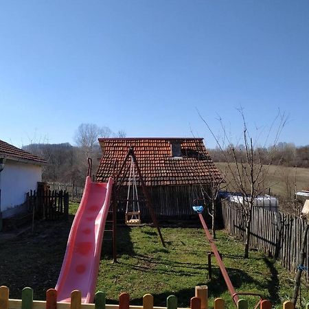 Seosko Turisticko Domacinstvo Milka Apartment Cacak Bagian luar foto