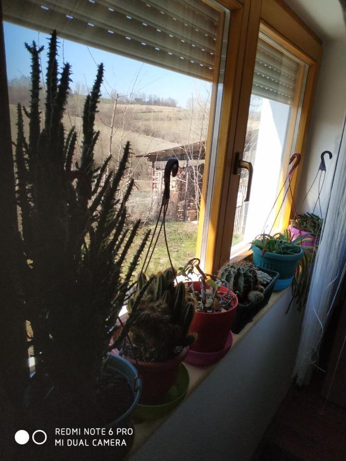Seosko Turisticko Domacinstvo Milka Apartment Cacak Bagian luar foto