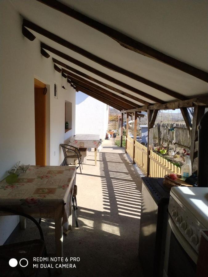 Seosko Turisticko Domacinstvo Milka Apartment Cacak Bagian luar foto