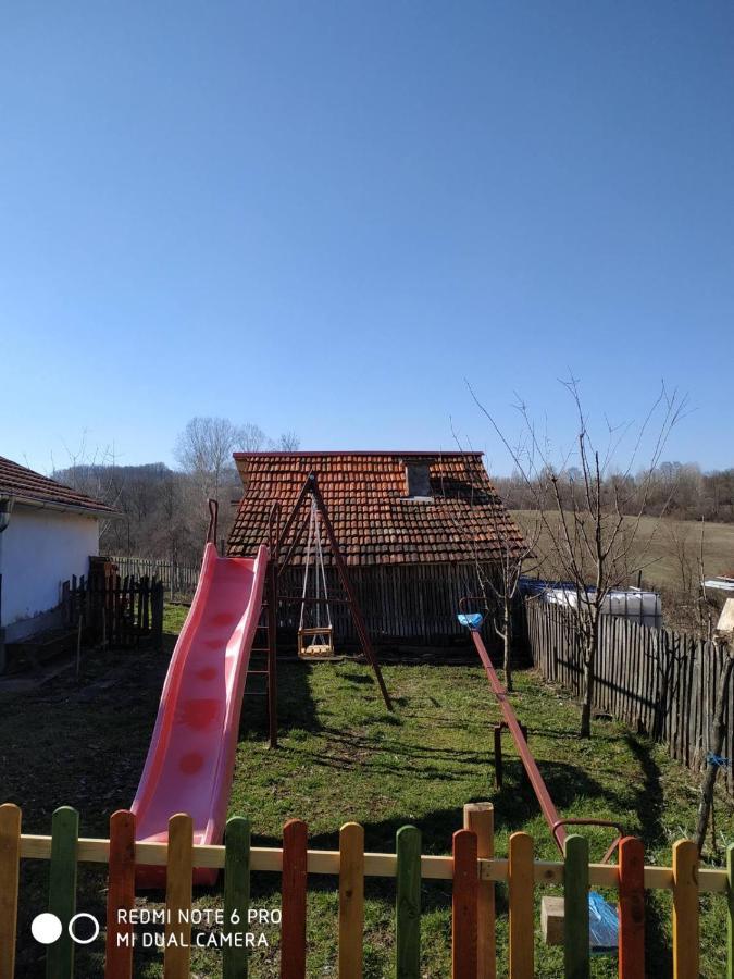 Seosko Turisticko Domacinstvo Milka Apartment Cacak Bagian luar foto