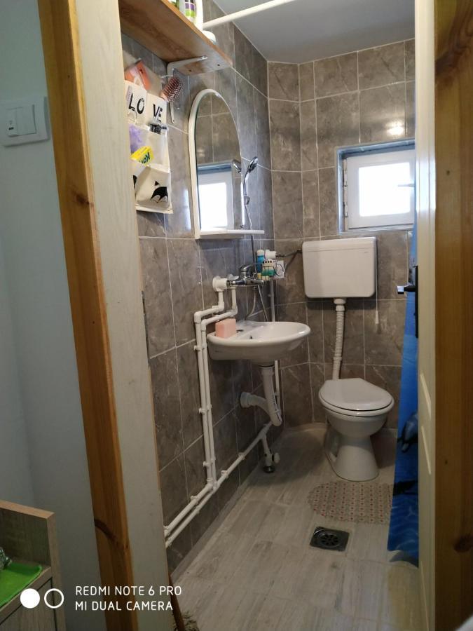 Seosko Turisticko Domacinstvo Milka Apartment Cacak Bagian luar foto